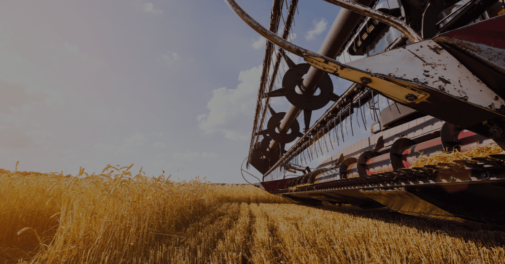wheat futures